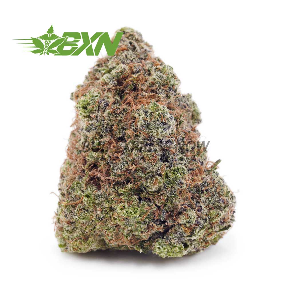 Buy King Kong AAAA at BudExpressNOW Online