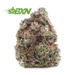 Buy Apple Fritter (Craft) at BudExpressNOW Online