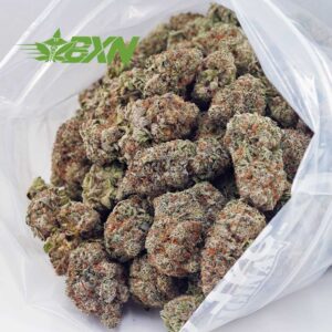 Buy Apple Fritter (Craft) at BudExpressNOW Online