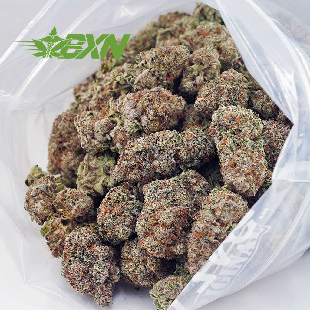 Buy Apple Fritter (Craft) at BudExpressNOW Online