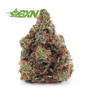 Buy White Widow AAAA at BudExpressNOW Online