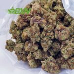 Buy White Widow AAAA at BudExpressNOW Online