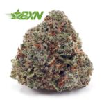 Buy Super Silver Haze AAA at BudExpressNOW Online