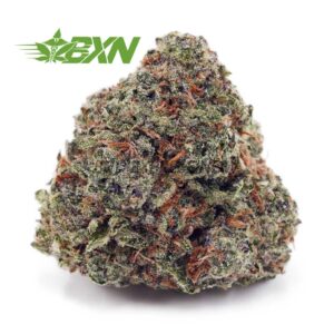 Buy Super Silver Haze AAA at BudExpressNOW Online
