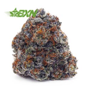 Buy Purple Kush AAAA at BudExpressNOW Online Shop