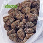 Buy Purple Kush AAAA at BudExpressNOW Online Shop