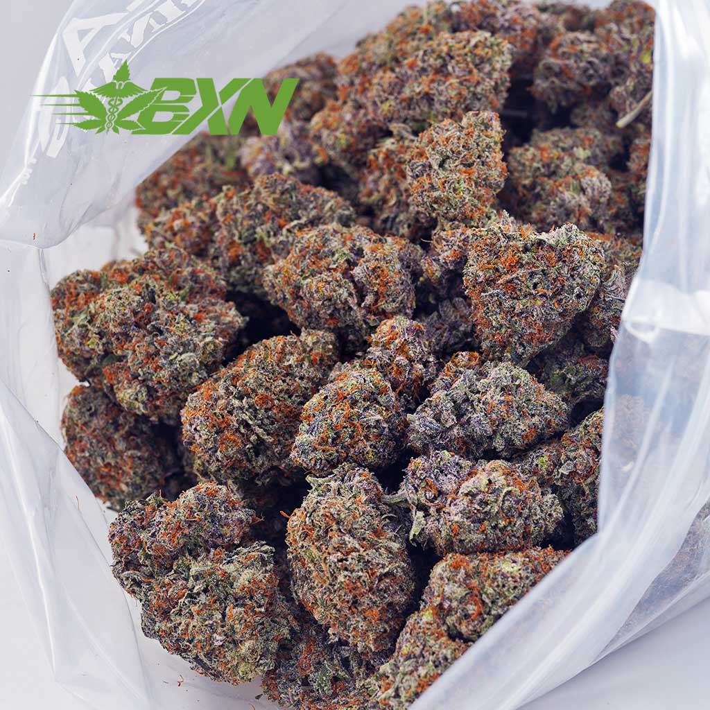 Buy Purple Kush AAAA at BudExpressNOW Online Shop