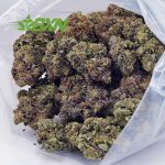 Buy One Punch (Craft) at BudExpressNOW Online Shop