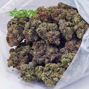 Buy One Punch (Craft) at BudExpressNOW Online Shop