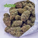 Buy Girl Scout Cookies AAA at BudExpressNOW Online