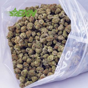 Buy NYC Cheesecake AAAA (Popcorn) at BudExpressNOW Online Shop