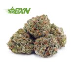 Buy Gorilla Cookies AAAA (Popcorn) at BudExpressNOW Online Shop.