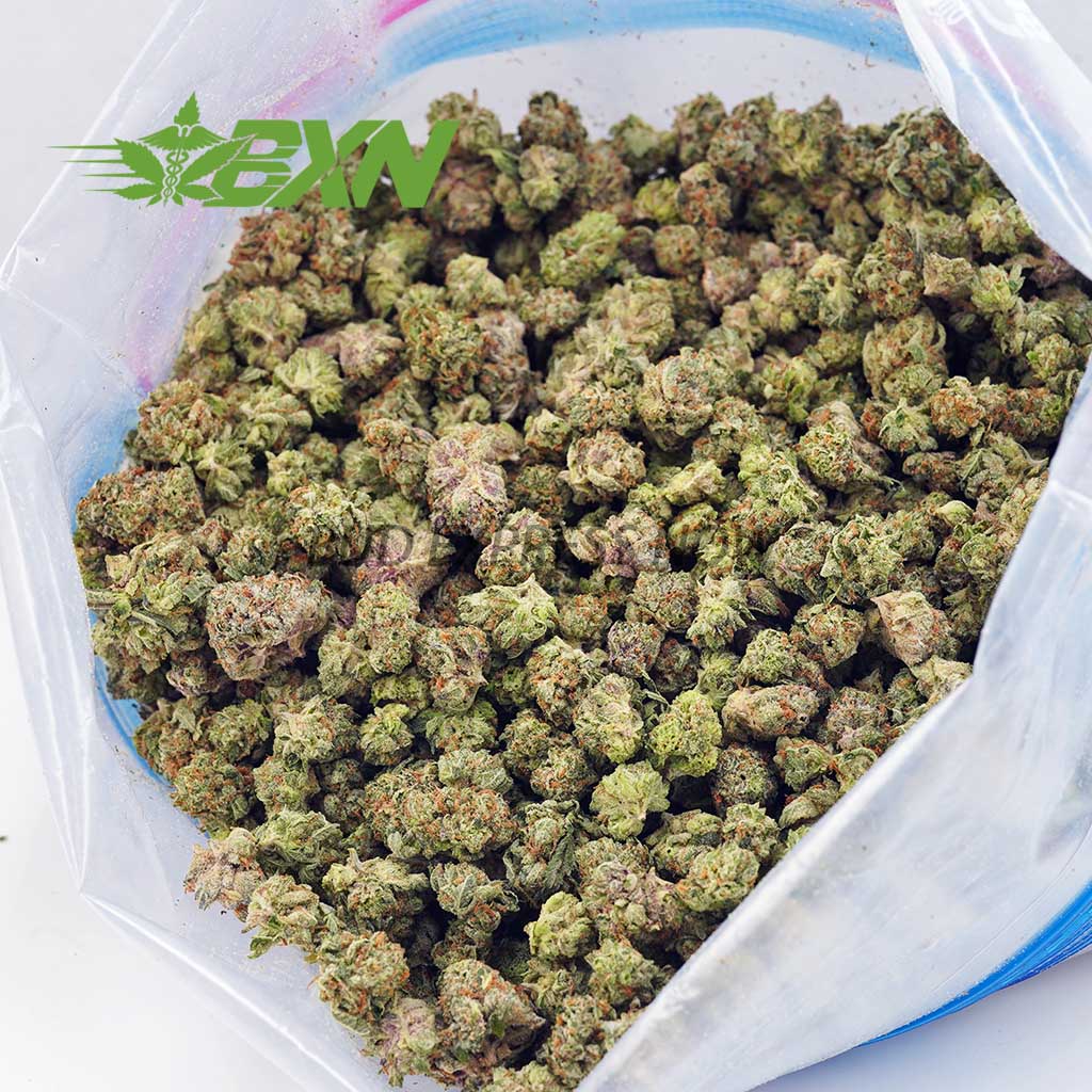 EA GORILLACOOKIESPOPCORN BXN Buy Gorilla Cookies AAAA (Popcorn) at BudExpressNOW Online Shop.
