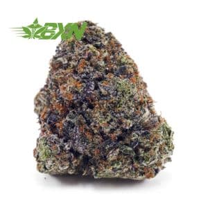 Buy Blueberry Pie AAAA at BudExpressNOW Online Shop