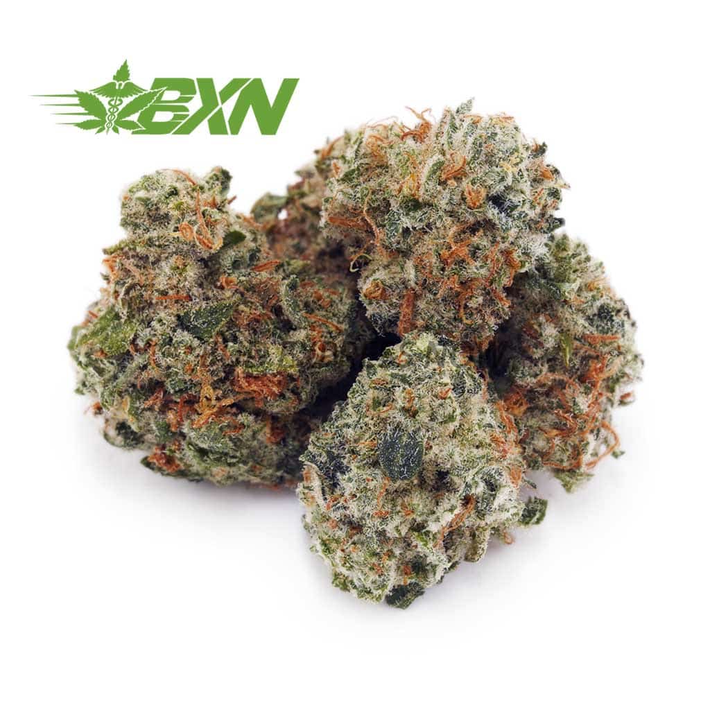 Buy Green Congo AAAA (Popcorn) at BudExpressNOW Online Shop