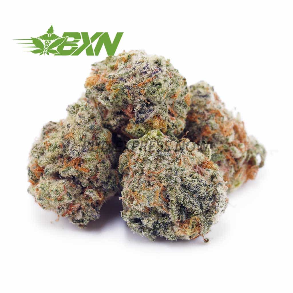 D839A1-MENDOCOOKIESPOPCORN-BXN Buy Mendo Cookies AAAA (Popcorn) at BudExpressNOW Online Shop