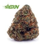 Buy Vanilla Kush AA at BudExpressNOW Online Shop.