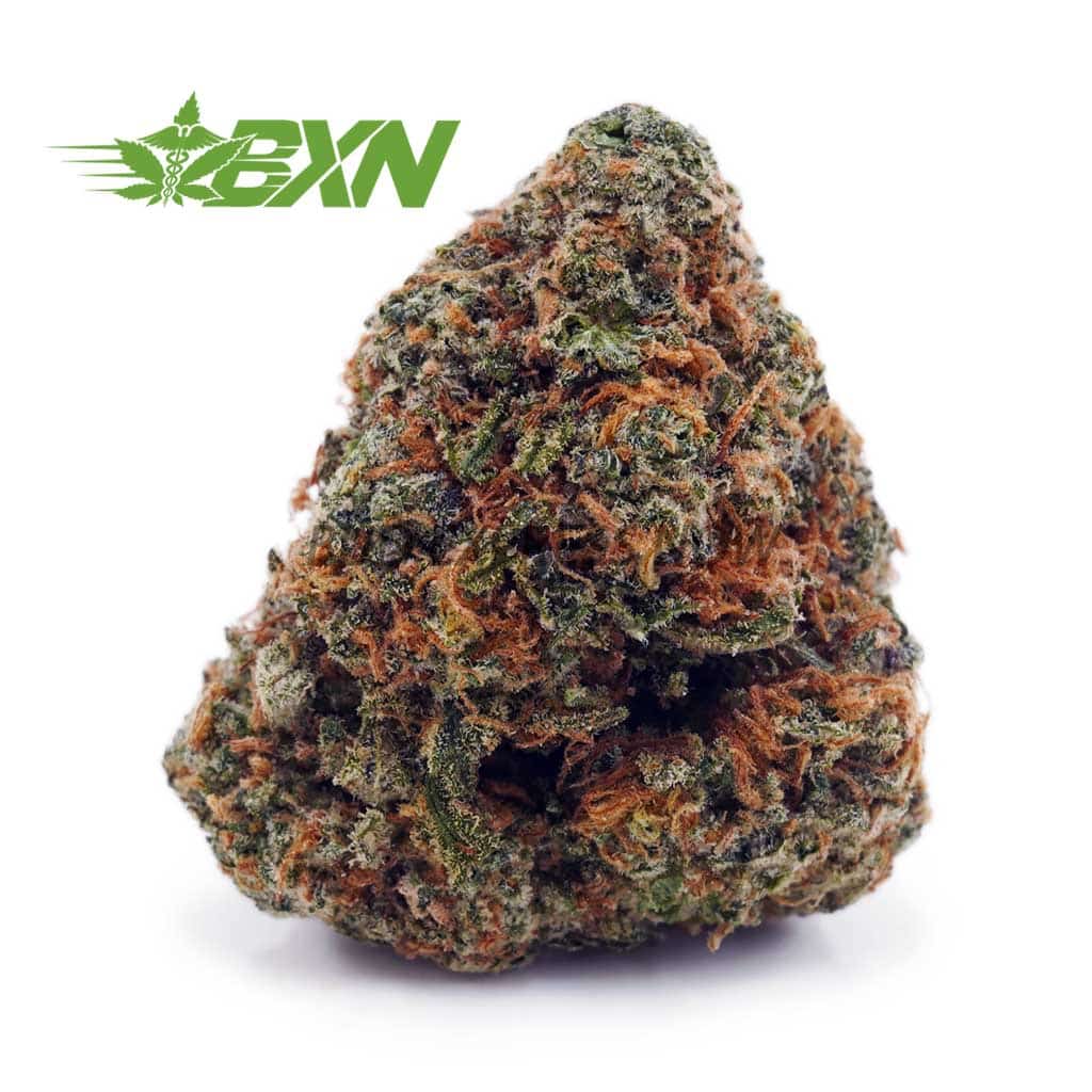 Buy Vanilla Kush AA at BudExpressNOW Online Shop.