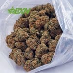 Buy Vanilla Kush AA at BudExpressNOW Online Shop.