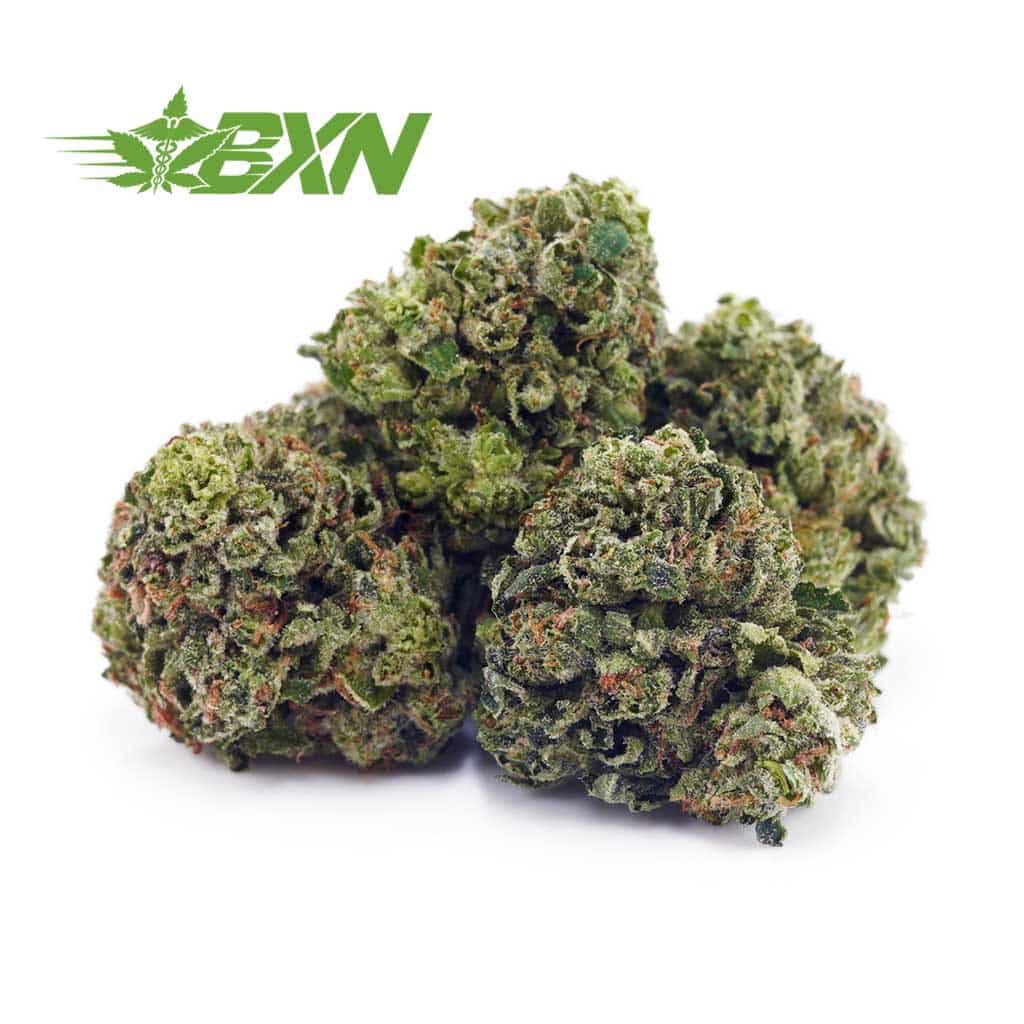 D841A1-GREASYPINKPOPCORN-BXN Buy Greasy Pink AAAA (Popcorn) at BudExpressNOW Online Shop