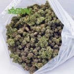 Buy Greasy Pink AAAA (Popcorn) at BudExpressNOW Online Shop