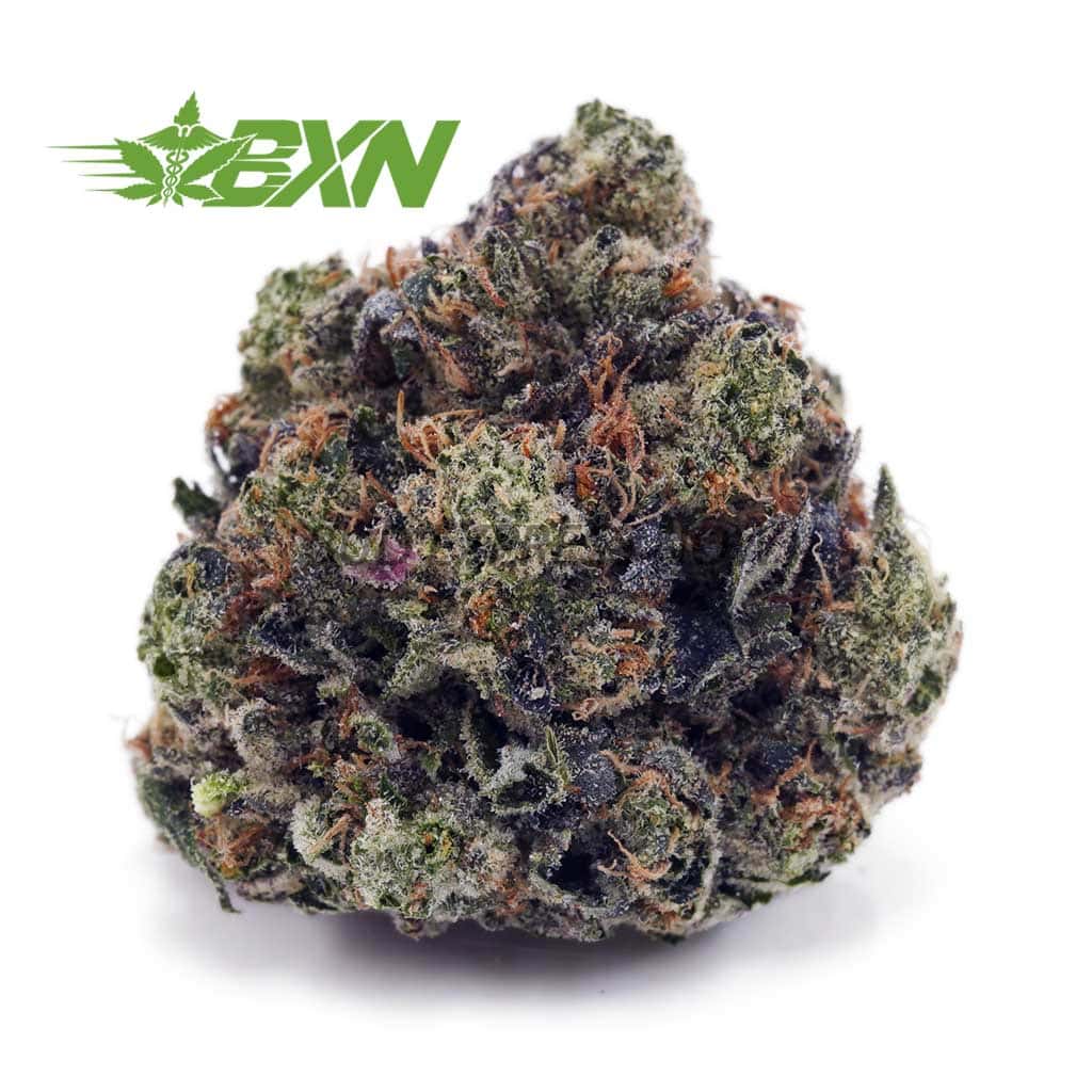 Buy Kiwi Kush AAAA at BudExpressNOW Online Shop