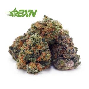 Buy Juicy Fruit AAAA (Popcorn) at BudExpressNOW Online Shop.