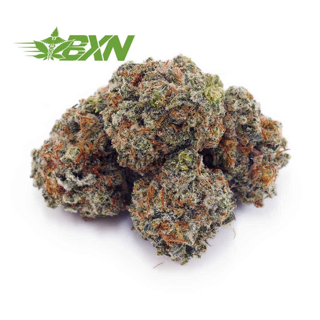 Buy Peach Pie AAAA (Popcorn) at BudExpressNOW Online Shop