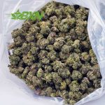 Buy Fire OG AAAA (Popcorn) at BudExpressNOW Online Shop