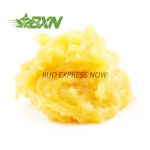 Buy Live Resin - Jack Herer at BudExpressNOW Online Shop