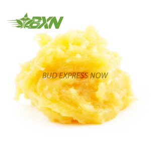 Buy Live Resin - Jack Herer at BudExpressNOW Online Shop