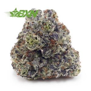 Buy Jean Guy AAA at BudExpressNOW Online