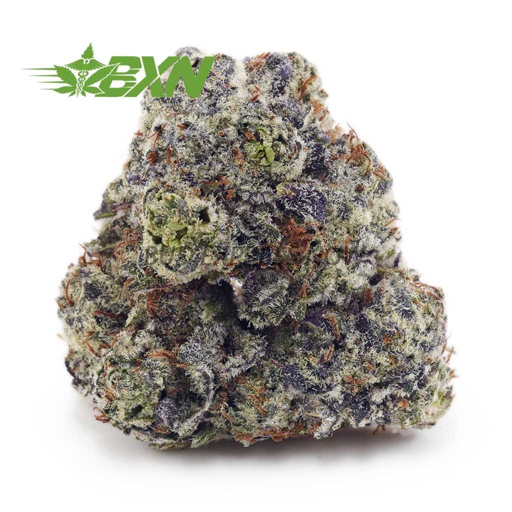 Buy Jean Guy AAA at BudExpressNOW Online