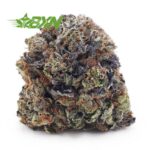 Buy Pink Rob Ford (Craft) at BudExpressNOW Online Shop