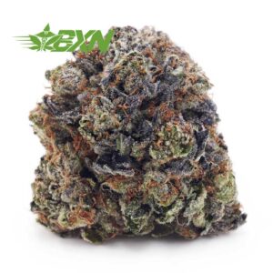 Buy Pink Rob Ford (Craft) at BudExpressNOW Online Shop