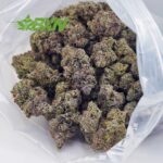 Buy Pink Rob Ford (Craft) at BudExpressNOW Online Shop