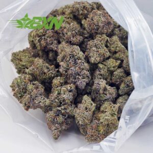 Buy Pink Rob Ford (Craft) at BudExpressNOW Online Shop