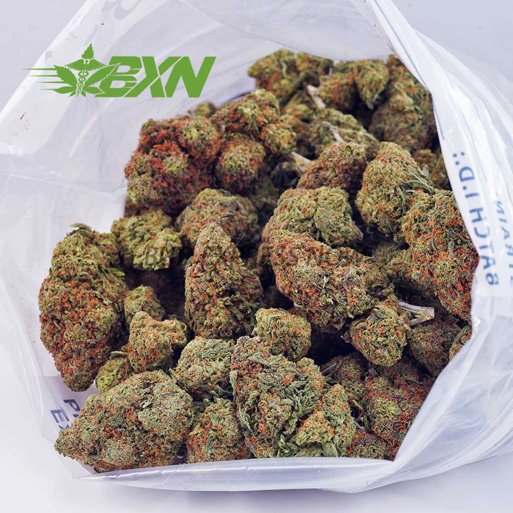 EA MAUIWOWIE BXN EA MAUIWOWIE BXN