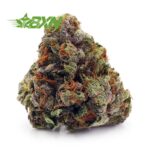 Buy Amnesia Haze AA (Green House) at BudExpressNOW Online Shop.
