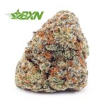 Buy Northern Lights AAA at BudExpressNOW Online