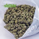 Buy Green Crack AAAA (Popcorn) at BudExpressNOW Online shop
