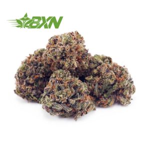 Buy 33 Splitter AAAA (Popcorn) at BudExpressNOW Online Shop