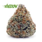 Buy Scooby Snacks AAAA at BudExpressNOW Online