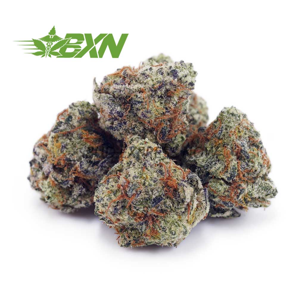 D909A1-RUSSIANCREAMPOPCORN-BXN Buy Russian Cream AAAA (Popcorn) at BudExpressNOW Online Shop