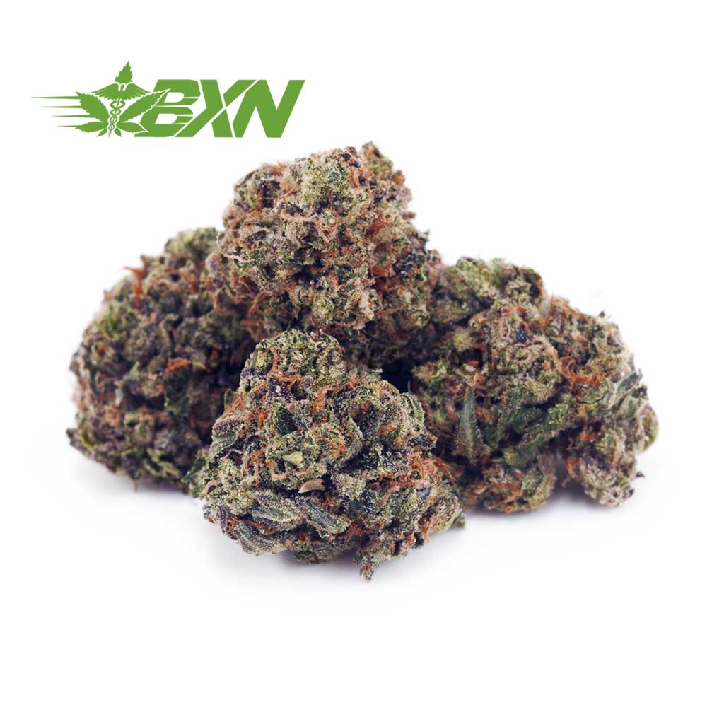 D910A1-WATERMELONHAZEPOPCORN-BXN Buy Watermelon Haze AAAA (Popcorn) at BudExpressNOW Online Shop