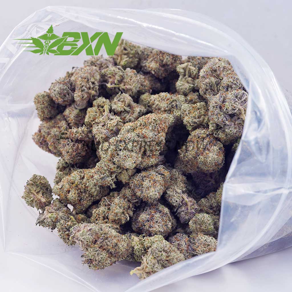 D924A2-DRAGONSBREATH-BXN