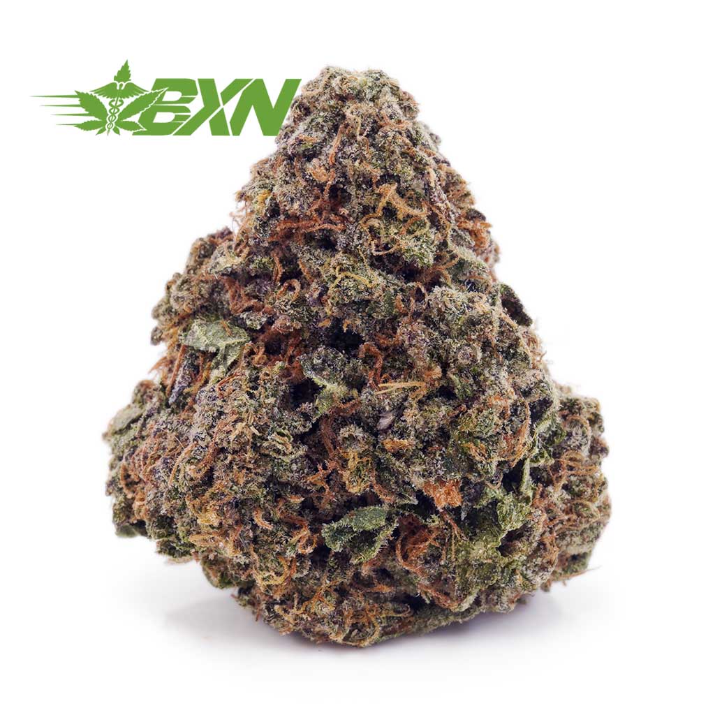 Buy Birthday Cake Kush AA at BudExpressNOW Online Shop