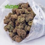 Buy Birthday Cake Kush AA at BudExpressNOW Online Shop