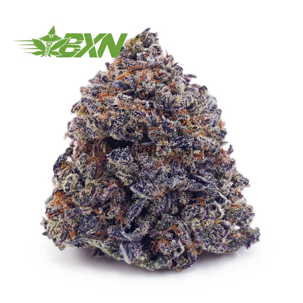 Buy Bubble Gum Kush AAA at BudExpressNOW Online Shop.