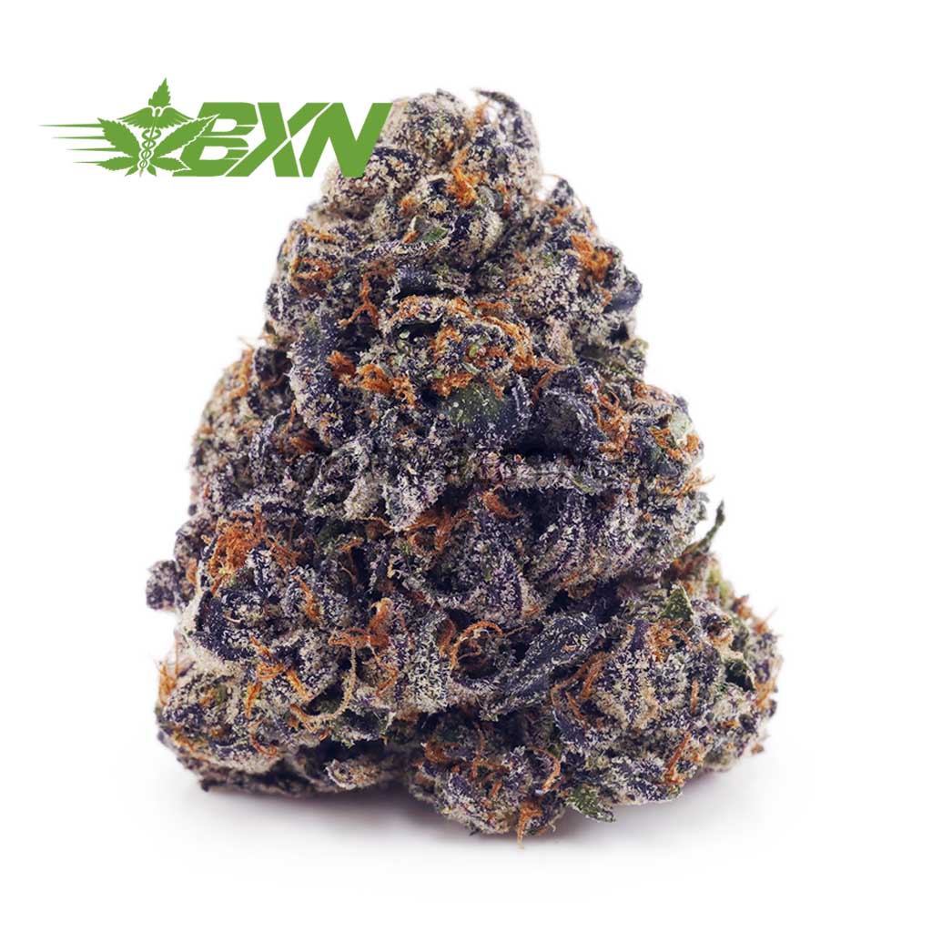 Buy Cotton Candy Kush AAA at BudExpressNOW Online